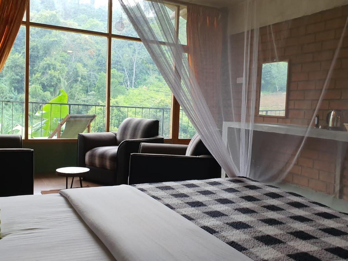 Ayubo Ella - Bed & Breakfast Kültér fotó